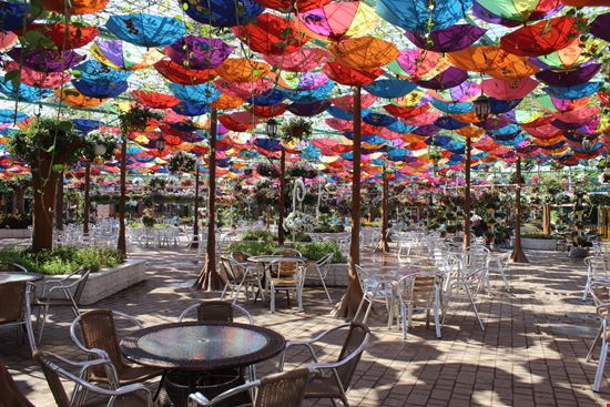 Dubai Miracle Garden  