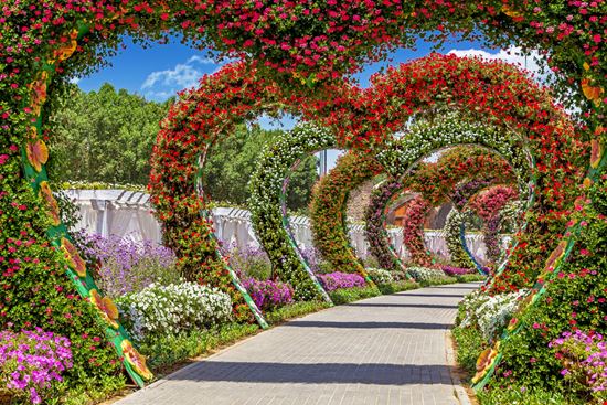 Dubai Miracle Garden Hakat / Shutterstock.com 