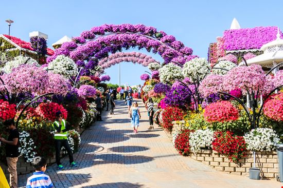 Dubai Miracle Garden Abrar Sharif / Shutterstock.com 