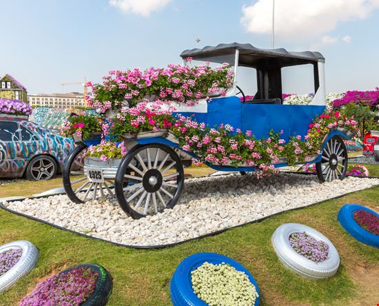 Dubai Miracle Garden mariakray / Shutterstock.com 