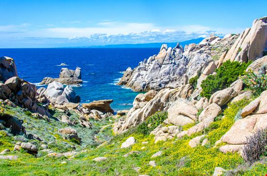 Capo Testa Capo Testa Simon Dannhauer - Shutterstock.com 