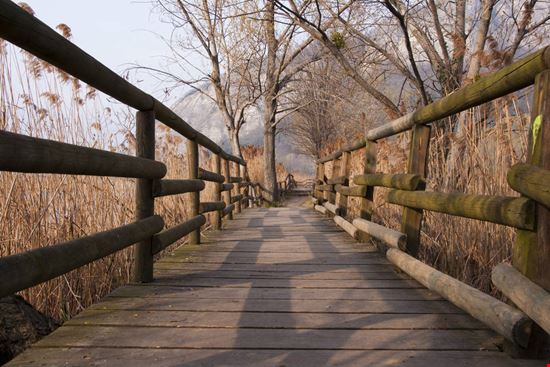 Riserva naturale Torbiere del Sebino Riserva naturale Torbiere del Sebino Andrea Ghidini - Shutterstock.com 