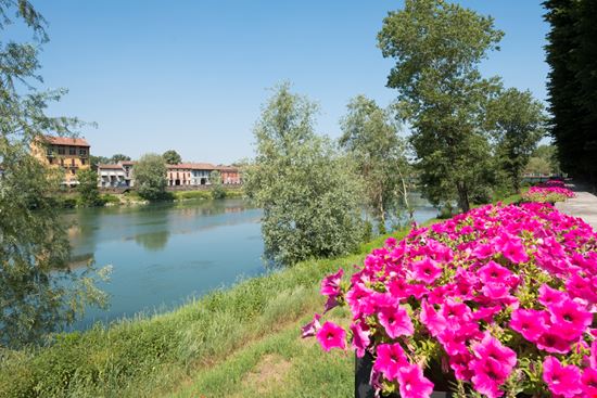 Pizzighettone Pizzighettone BAMO / Shutterstock.com 