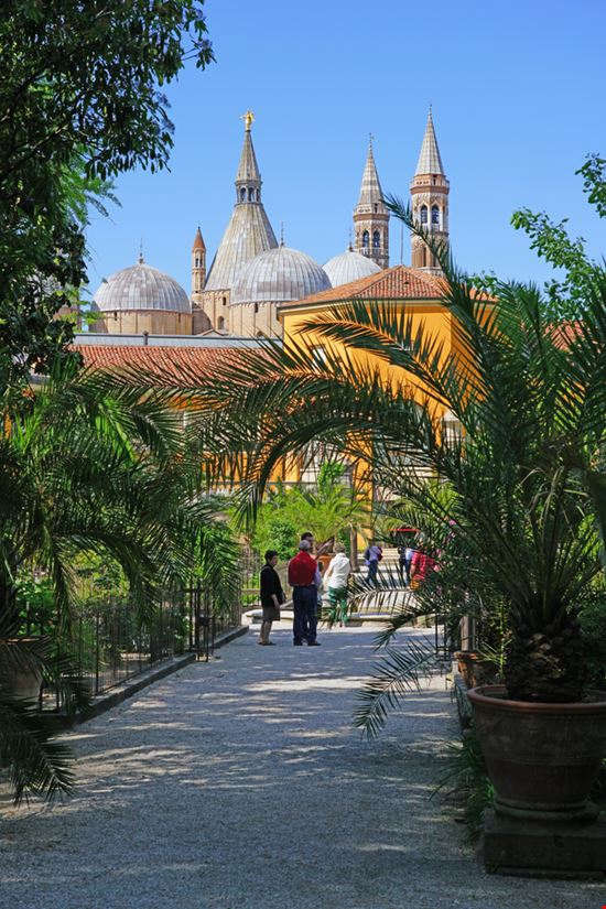 Padova Orto Botanico di Padova EQRoy / Shutterstock.com 