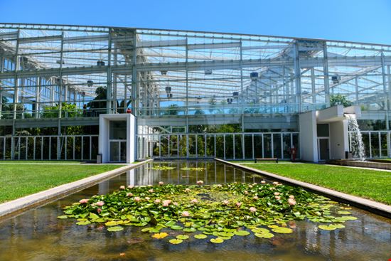 Padova Orto Botanico di Padova Bobica10 / Shutterstock.com 