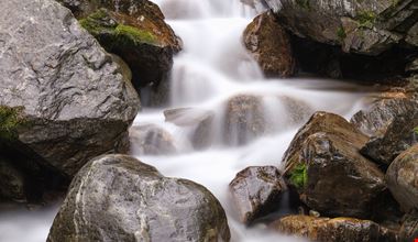 424011911191050_iStock-1022363398.jpg 424011911191050_iStock-1022363398.jpg