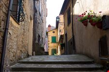 Arcidosso