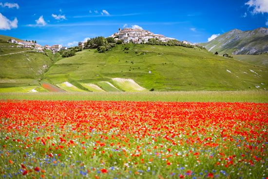 Castelluccio Castelluccio Frank Fischbach - Shutterstock.com 