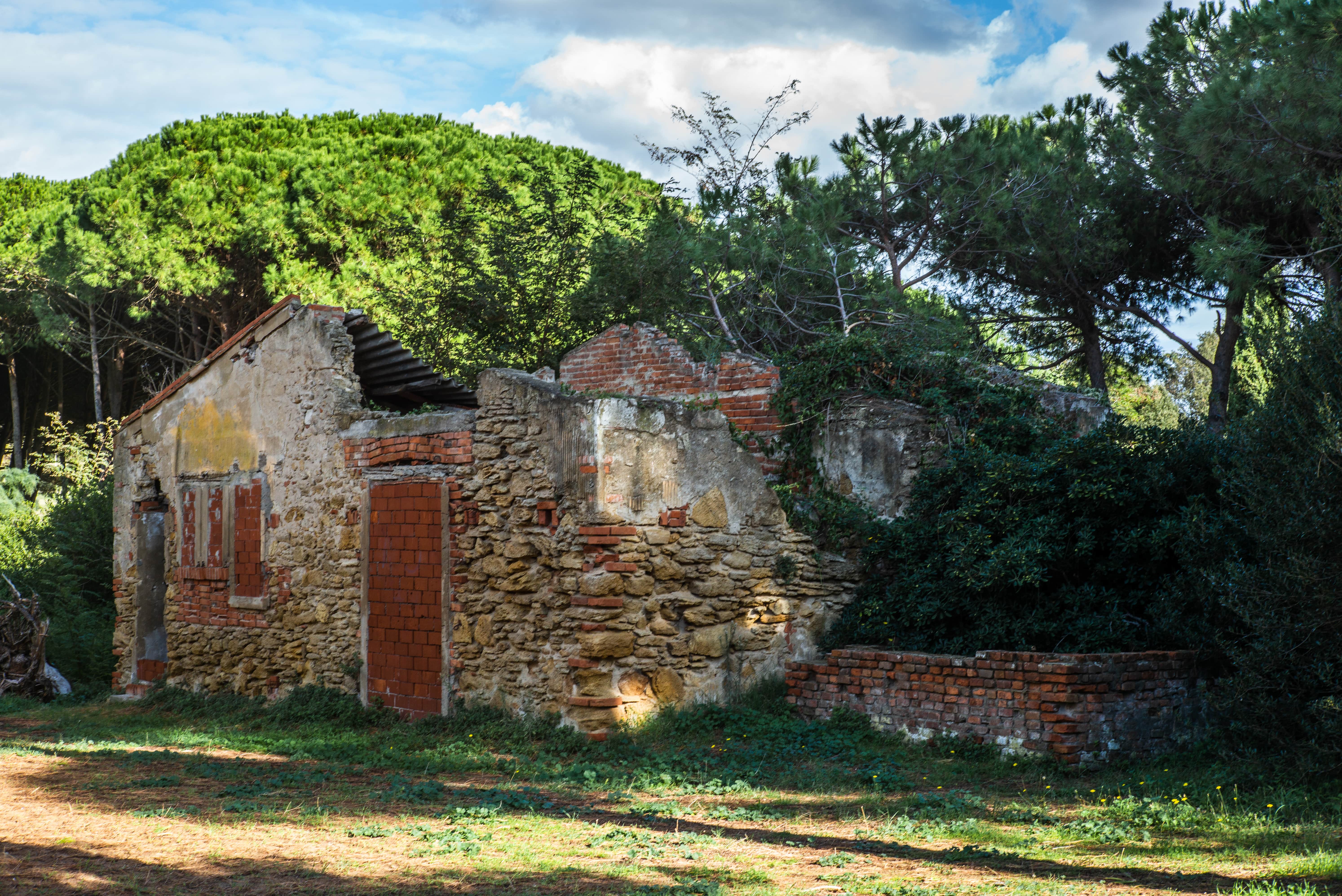 Populonia