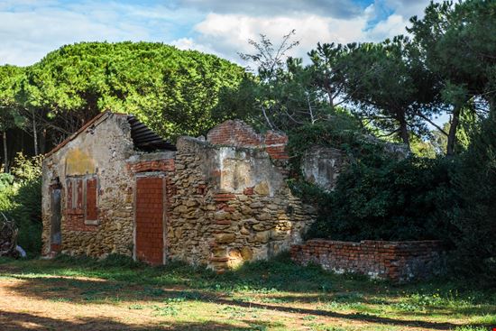 Populonia Parco Archeologico Baratti stock.adobe.com 