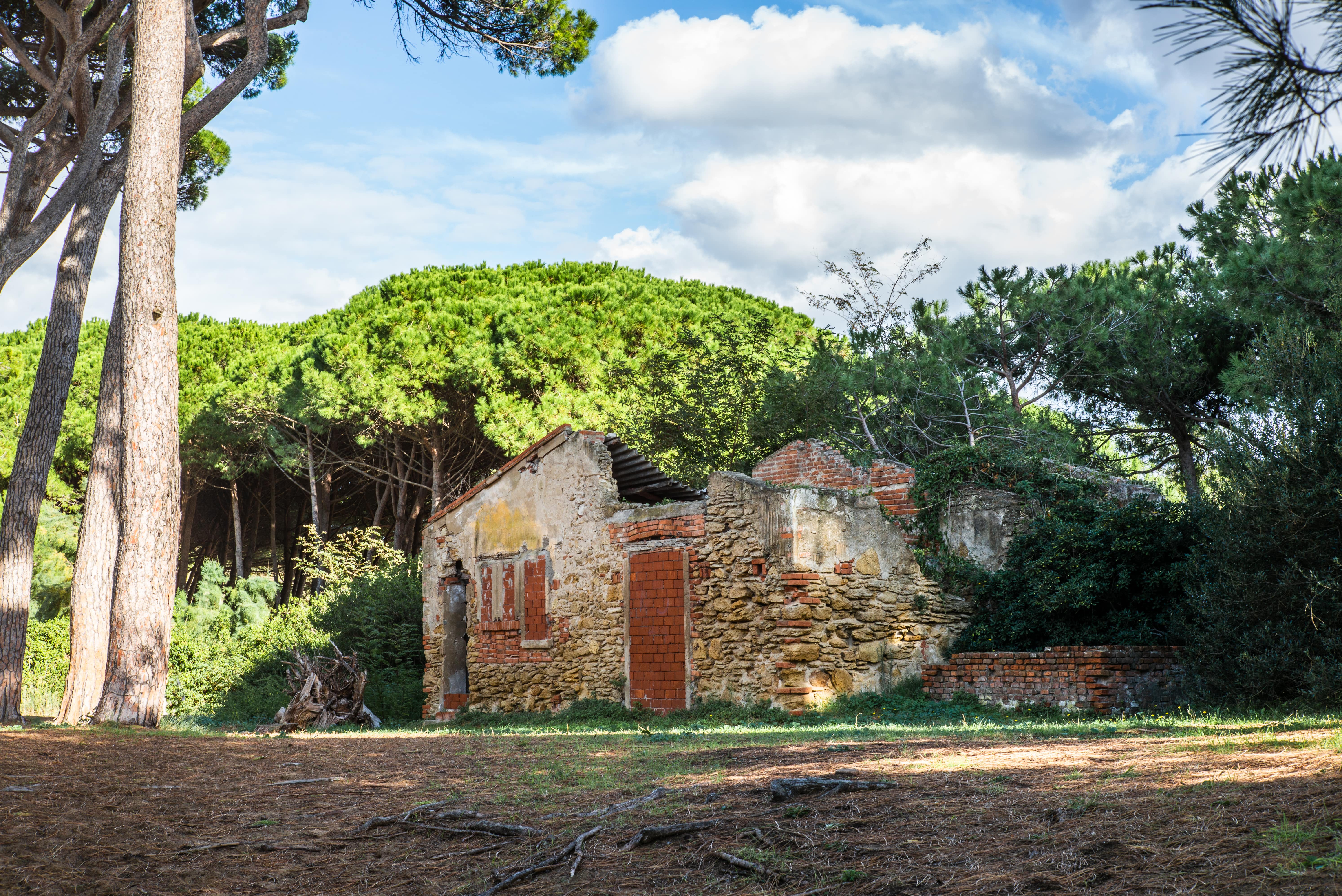 Populonia