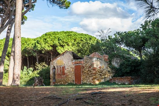 Populonia Parco Archeologico Baratti stock.adobe.com 