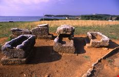 Populonia
