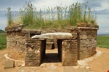 Populonia
