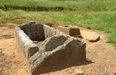 Populonia