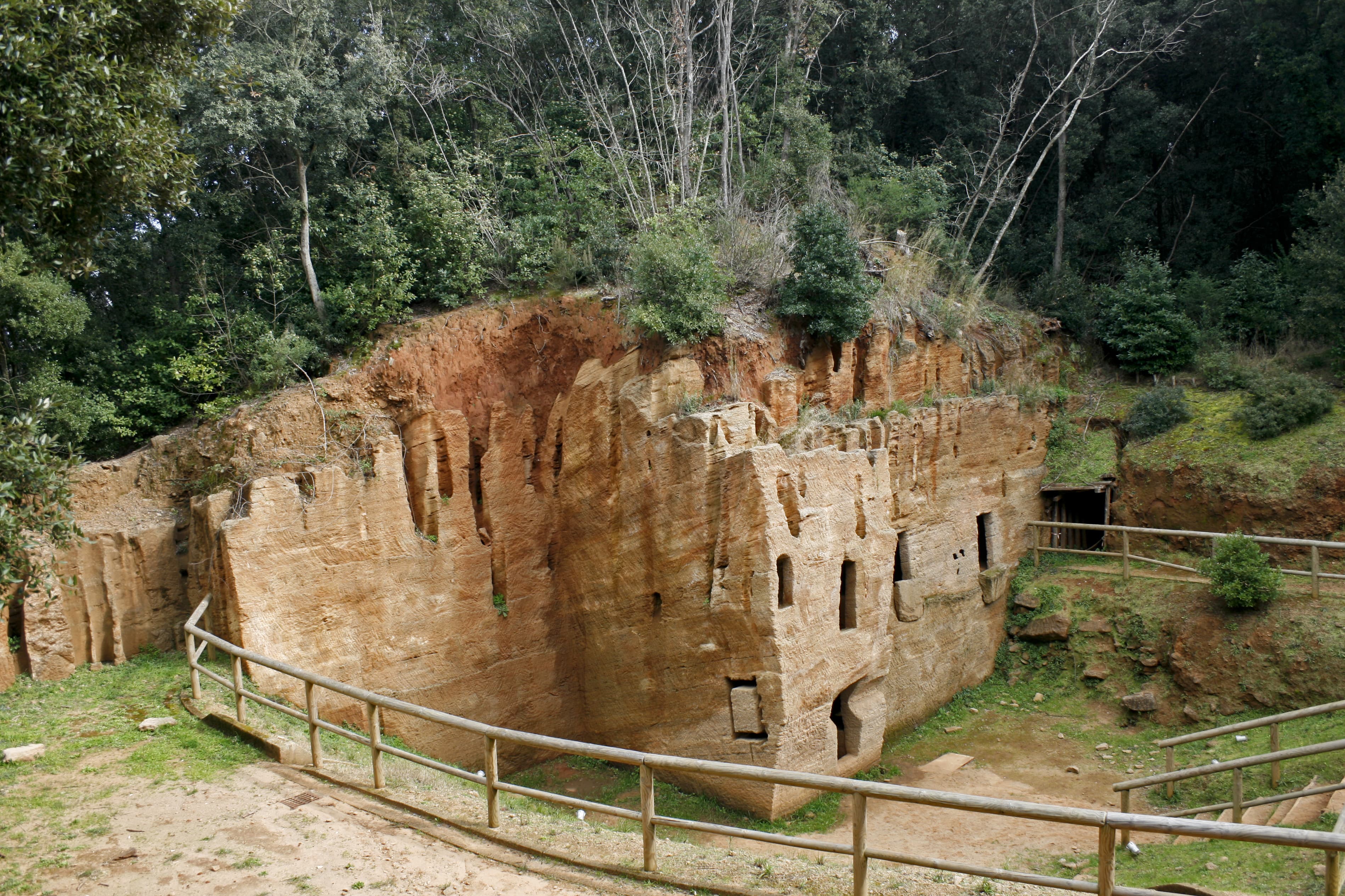 Populonia