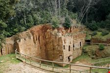 Populonia