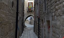 Terlizzi