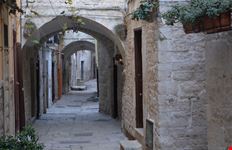 Terlizzi