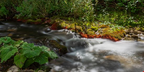 Le cascate del verde Borrello Le cascate del verde Borrello SerFeo - Shutterstock.com 