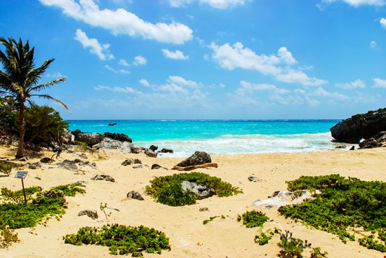 Tulum Tulum Madrugada Verde - Shutterstock.com 
