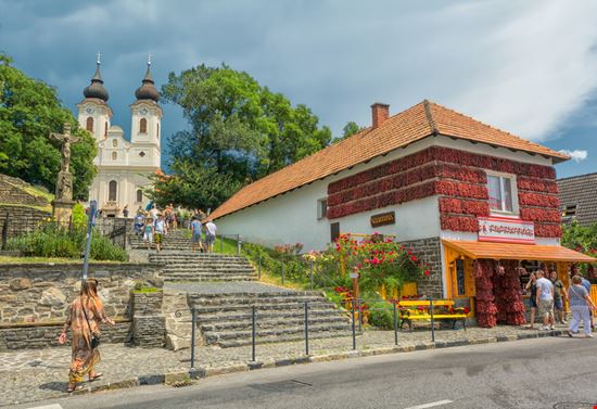 Tihany Tihany Andocs / Shutterstock.com  