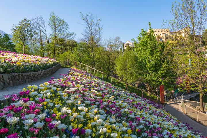 Ammirare Merano dai Giardini di Castel Trauttmansdorff: i migliori punti panoramici dal giardino botanico meranese