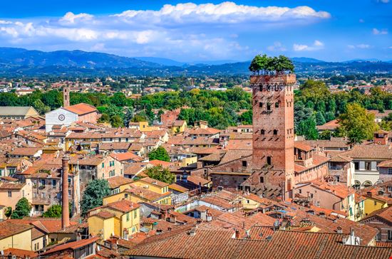 Torre Guinigi Torre Guinigi Martin M303 - Shutterstock.com 