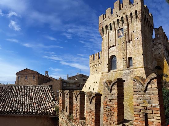 Offagna Offagna kerale - Shutterstock.com 