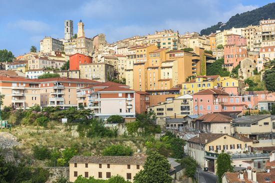Grasse Grasse Filip Fuxa - Shutterstock.com 