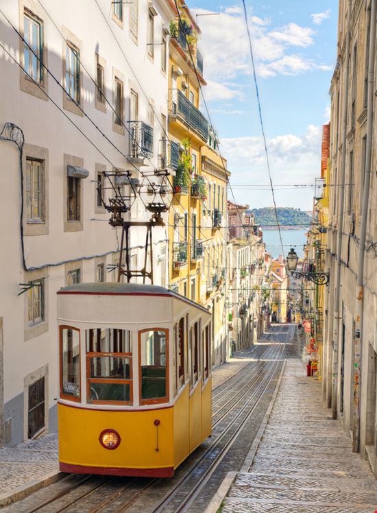 Tram 28 Tram 28 Martin Lehmann - Shutterstock.com 