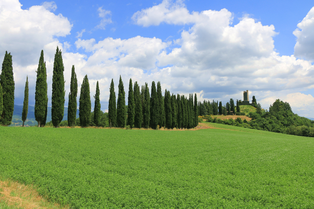 Castello di Romena