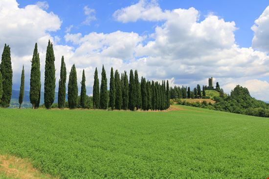 Castello di Romena Il castello in rovine tra le campagne toscane Daniele Novati - Shutterstock.com 