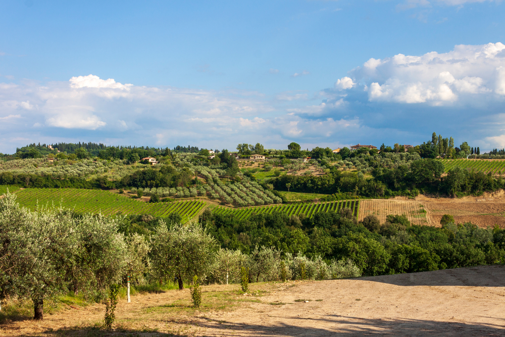 Montespertoli colline