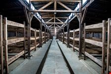 Auschwitz 