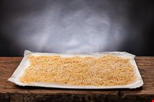Maccheroncini