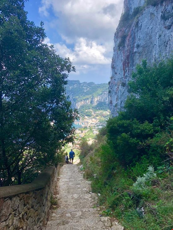 Anacapri Scala Fenicia nun_nun - Shutterstock.com 