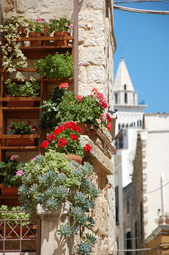 Trani