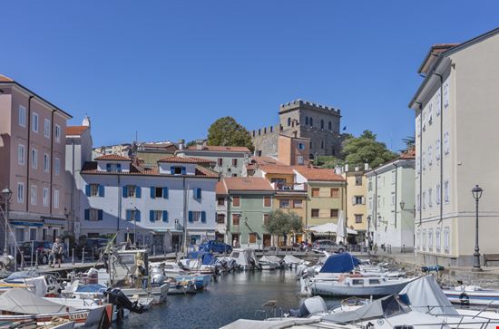 Muggia Muggia Cortyn / Shutterstock.com 