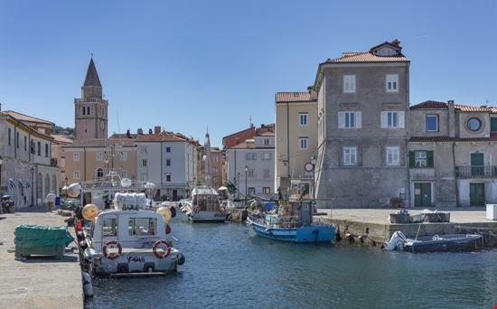 Muggia Muggia Cortyn / Shutterstock.com 