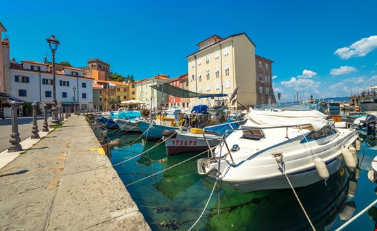 Muggia Muggia Rsphotograph / Shutterstock.com 