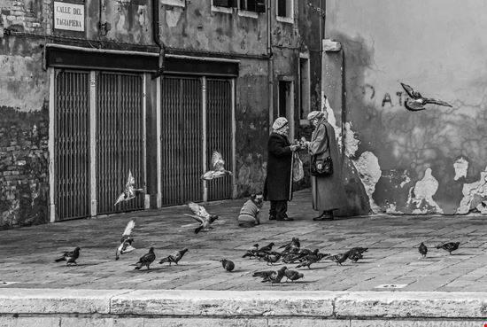 Venezia Venezia ValerioMei - Istockphoto.com 