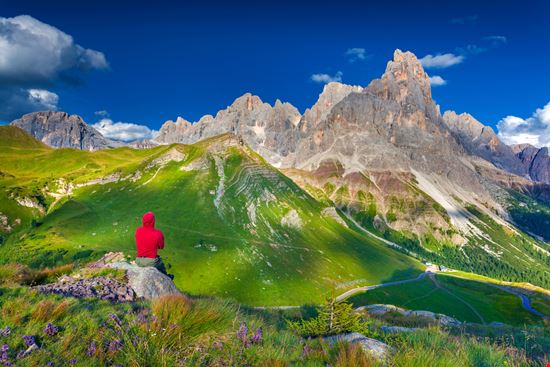 Pale di San Martino Pale di San Martino Andrew_Mayovskyy - Istockphoto.com 