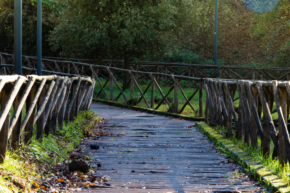 Parco di Veio