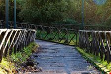 Parco di Veio