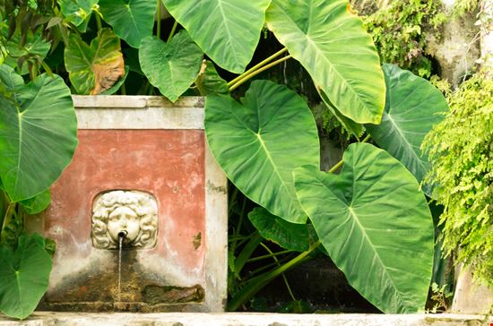 Giardini della Minerva Giardini della Minerva Eug Png - Shutterstock.com 