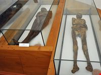 Le mummie di Venzone