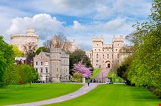 The Windsor Castle