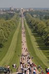 The Windsor Castle