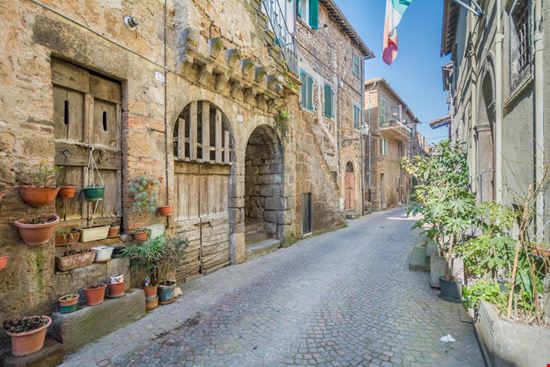 Blera Blera Stefano_Valeri / Shutterstock.com 